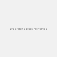 Lys proteins Blocking Peptide